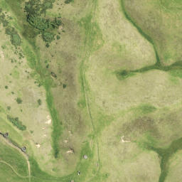 Satellite imagery of F (Tiritiri SD), NZ