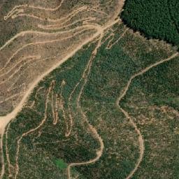 Satellite imagery of White Star Mine, AU