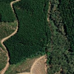 Satellite imagery of White Star Mine, AU