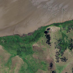Satellite imagery of Owera Head, NZ