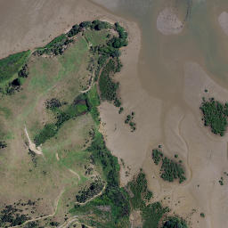 Satellite imagery of Owera Head, NZ