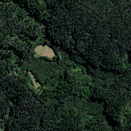 Satellite imagery of Panerahi Point, NZ