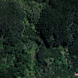 Satellite imagery of Panerahi Point, NZ