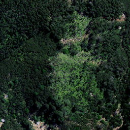 Satellite imagery of Panerahi Point, NZ