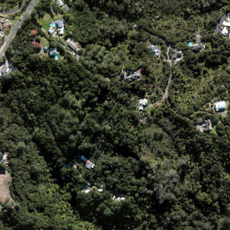 Satellite imagery of 9 (Waitemata SD), NZ