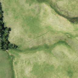 Satellite imagery of 1456, NZ
