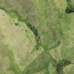 Satellite imagery of 1456, NZ