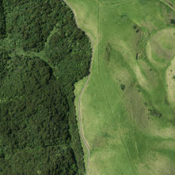 Satellite imagery of O (Rangitoto SD), NZ