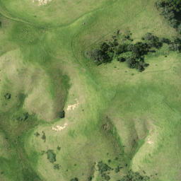 Satellite imagery of O (Rangitoto SD), NZ