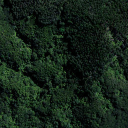Satellite imagery of Panerahi Point, NZ