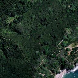 Satellite imagery of Panerahi Point, NZ