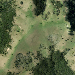 Satellite imagery of Kauri Point, NZ