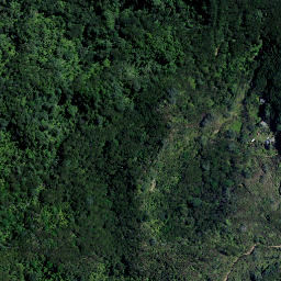 Satellite imagery of Panerahi Point, NZ