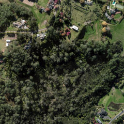 Satellite imagery of B (Waitemata SD), NZ