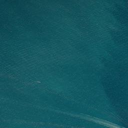 Satellite imagery of Korakorahi Point, NZ