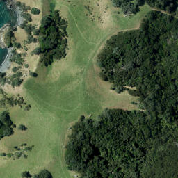 Satellite imagery of Te Whau Point, NZ