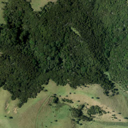 Satellite imagery of Kauri Point, NZ