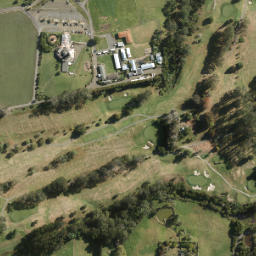 Satellite imagery of Harkin Point, NZ