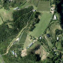 Satellite imagery of ONEROA, NZ