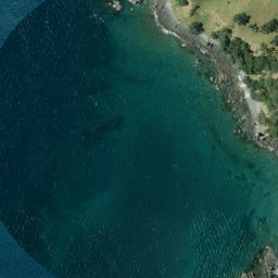 Satellite imagery of Te Whau Point, NZ