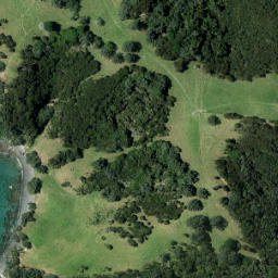Satellite imagery of Te Whau Point, NZ