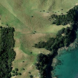 Satellite imagery of Kauri Point, NZ