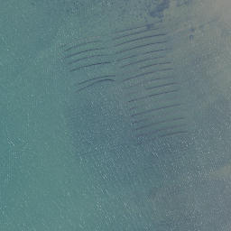 Satellite imagery of Preece Point, NZ