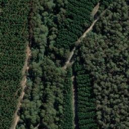 Satellite imagery of Mount Buggaree, AU