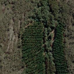 Satellite imagery of Mount Buggaree, AU