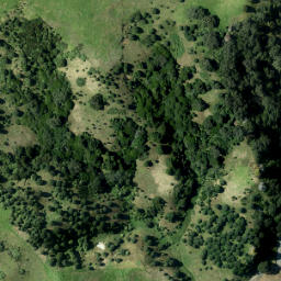 Satellite imagery of Otahuhu Point, NZ