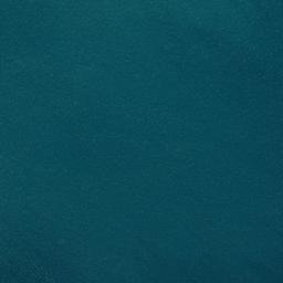 Satellite imagery of Waiheke Point, NZ