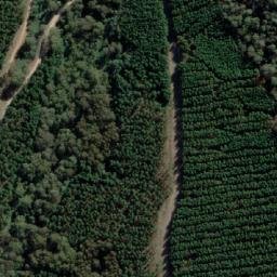 Satellite imagery of Mount Buggaree, AU