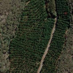 Satellite imagery of Mount Buggaree, AU