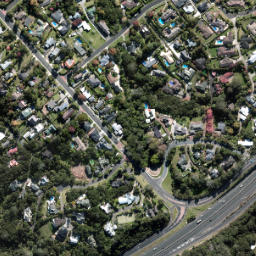 Satellite imagery of O NO 2, NZ