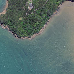 Satellite imagery of Preece Point, NZ