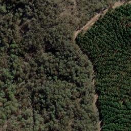 Satellite imagery of Mount Separation, AU