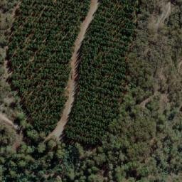 Satellite imagery of Mount Buggaree, AU