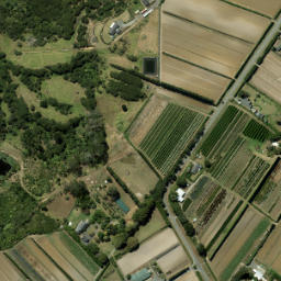 Satellite imagery of XXX NO 2, NZ