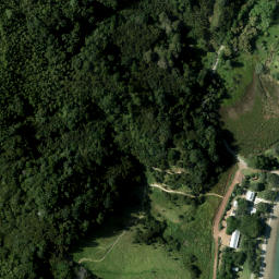 Satellite imagery of Rangitawhiri Point, NZ