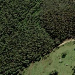 Satellite imagery of Tantawangalo Mountain, AU