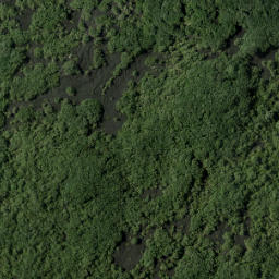 Satellite imagery of 13 RANGITOTO SO 55432, NZ