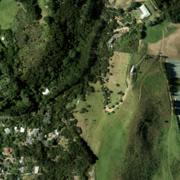 Satellite imagery of 981 NO 2, NZ