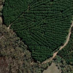 Satellite imagery of Mount Separation, AU
