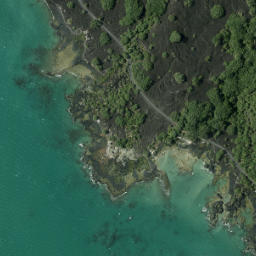 Satellite imagery of Flax Point, NZ