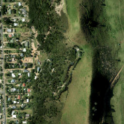 Satellite imagery of 981 NO 2, NZ