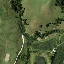 Satellite imagery of 981 NO 2, NZ