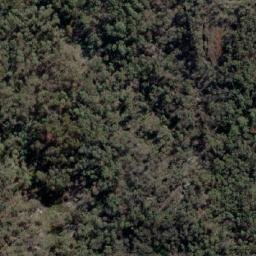 Satellite imagery of Mount Albert, AU
