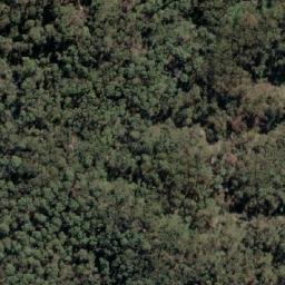 Satellite imagery of Mount Albert, AU