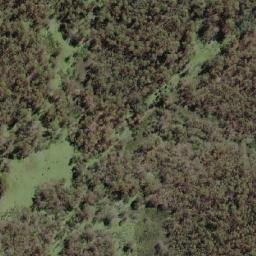 Satellite imagery of Forest Hill, AU