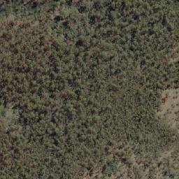 Satellite imagery of Forest Hill, AU